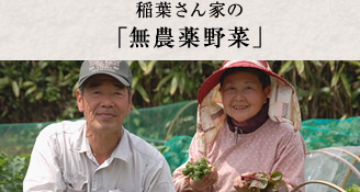 稲葉さん家の「無農薬野菜」