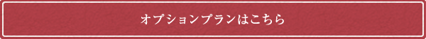 オプションプランはこちら