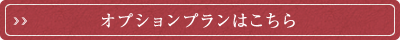 オプションプランこちら