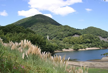 ホタルの名所（松川湖展望広場）　※見頃は6月下旬