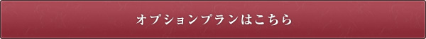 オプションプランはこちら