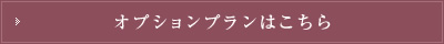 オプションプランこちら