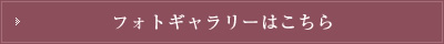 フォトギャラリーはこちら