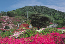 小室山公園